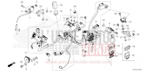 FAISCEAU DES FILS ST125AP de 2023